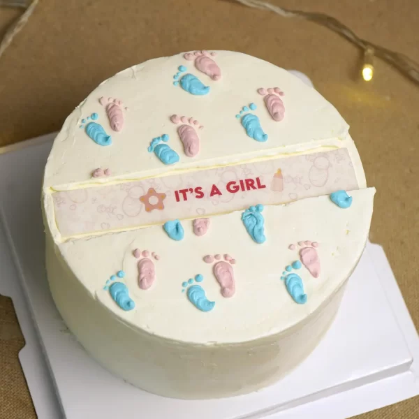 It's a Girl Privy Cake