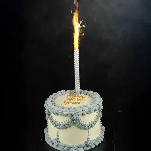 Happy New Year Privy Cake