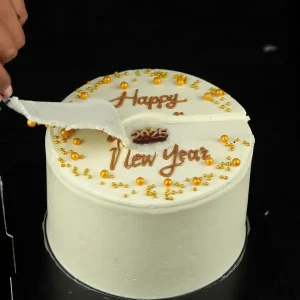 Happy New Year Privy Cake