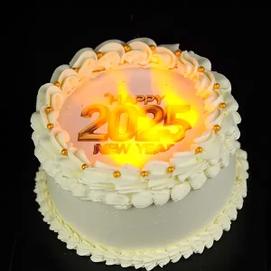 Happy New Year Privy Cake