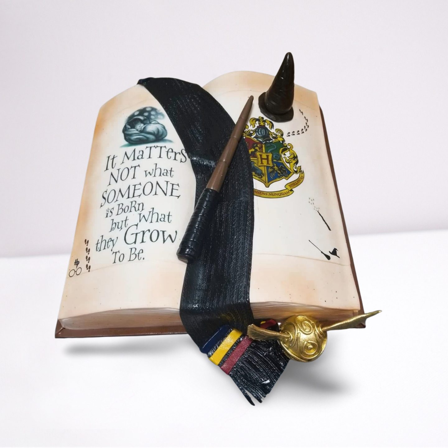 Harry Potter Cake with Old Book, Sorting Hat & Gryffindor Theme